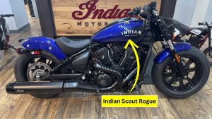 Indian Scout Rogue