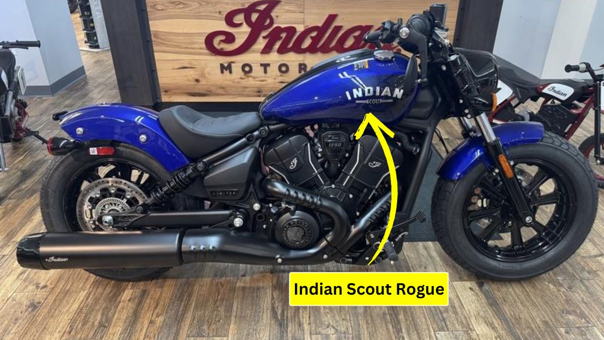 Indian Scout Rogue